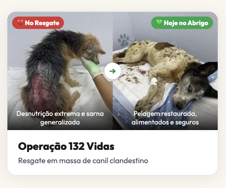 Antes e depois da Operação 132 Vidas, resgate de canil clandestino