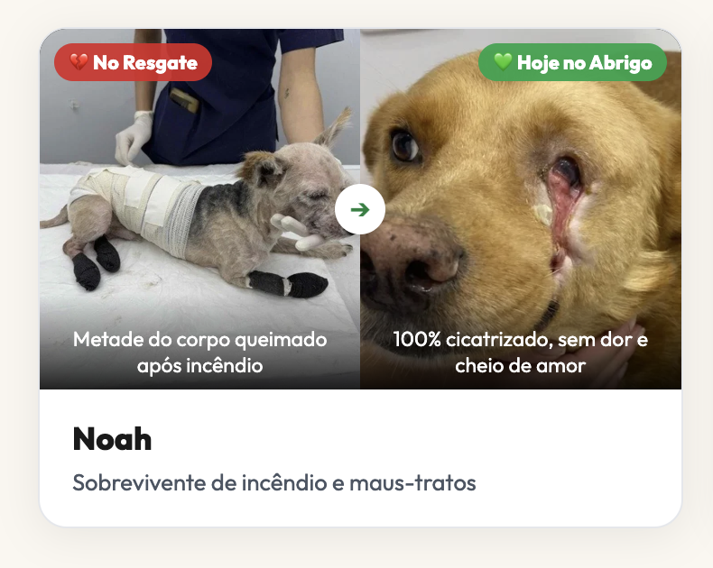 Antes e depois de Noah, sobrevivente de incêndio e maus-tratos